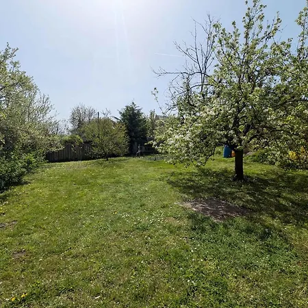 In - Balaton 54325 Lägenhet